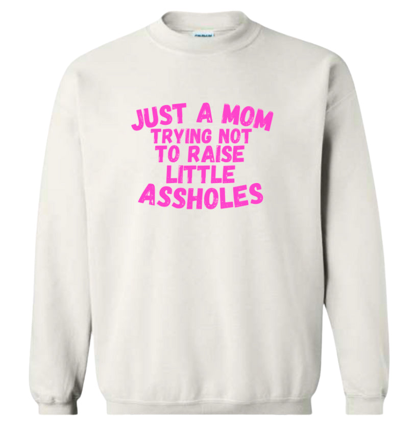 Just a Mom trying not to raise little Assholes Classic Sweater