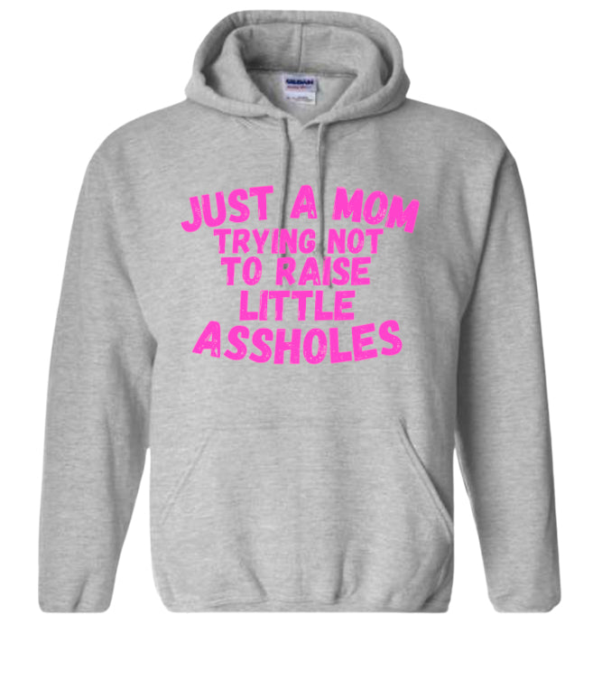 Just a Mom trying not to raise little Assholes Classic Hoodie